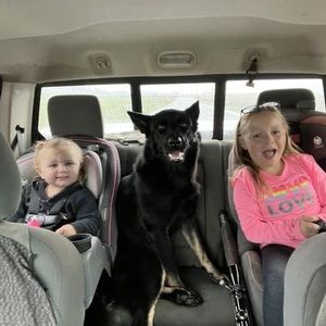 Meet your Posher, Jordan